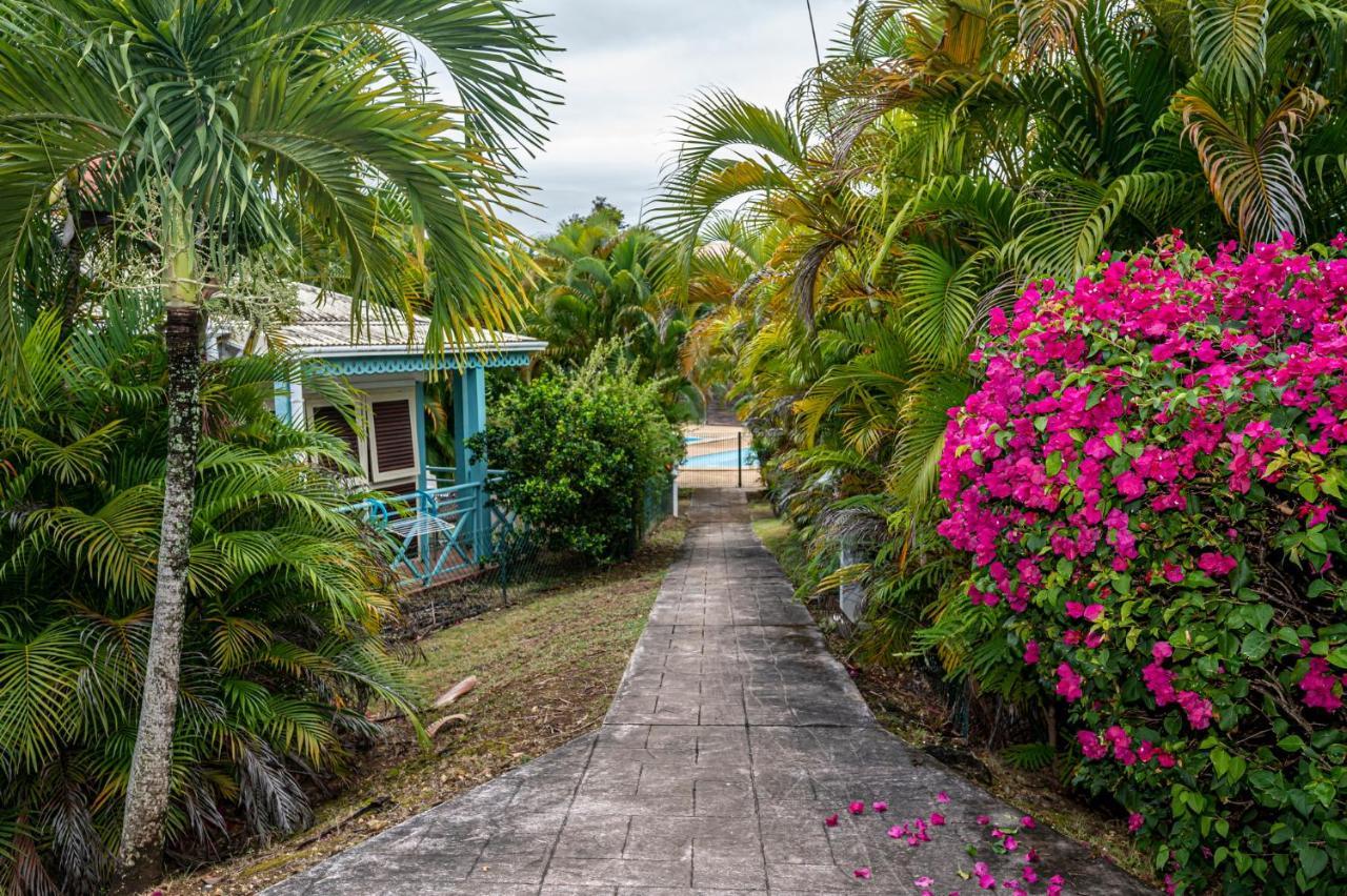 Apartmán Reve De Palmier Le Gosier  Exteriér fotografie