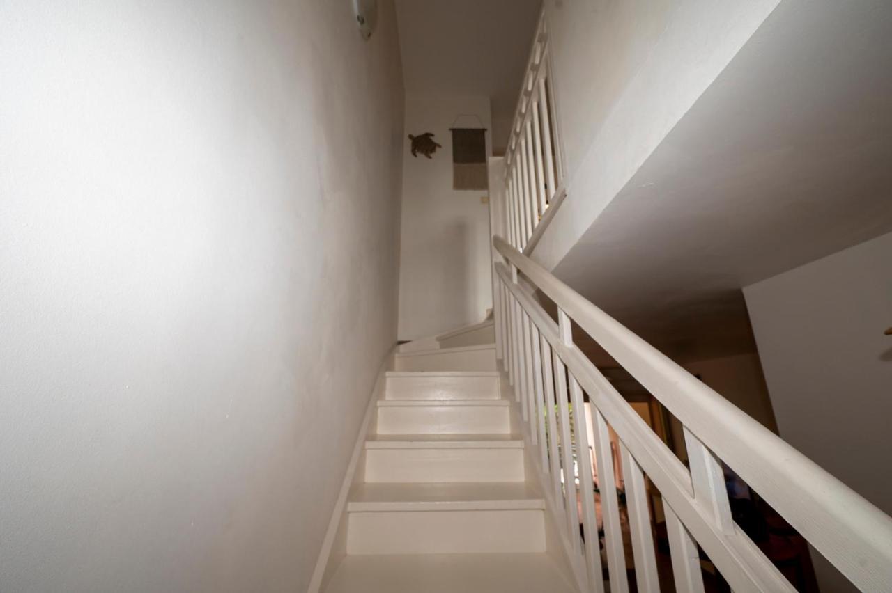 Apartmán Reve De Palmier Le Gosier  Exteriér fotografie